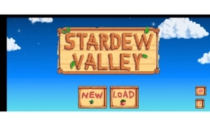 Stardew Valley